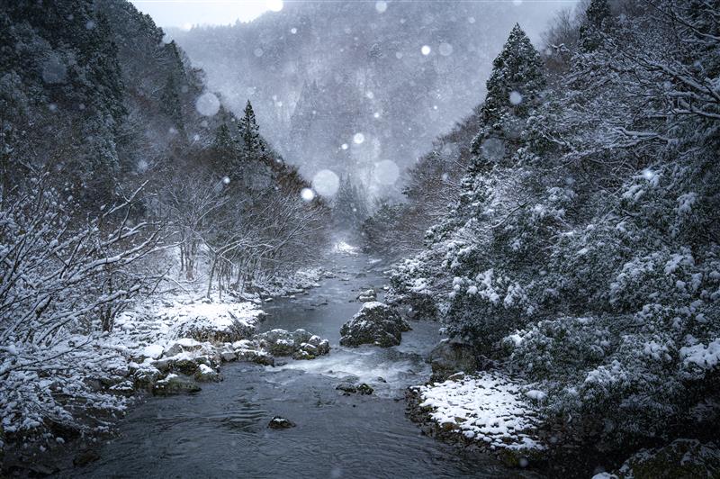 雪が降る山間部