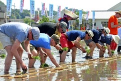 酒米の王者山田錦テロワールツーリズム