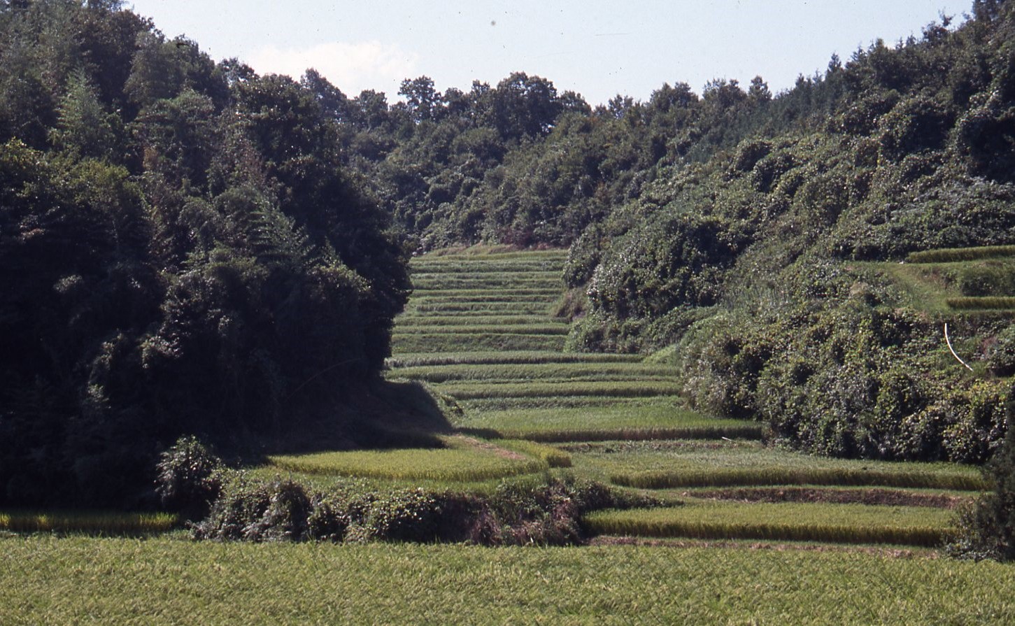 酒米栽培に適した大地