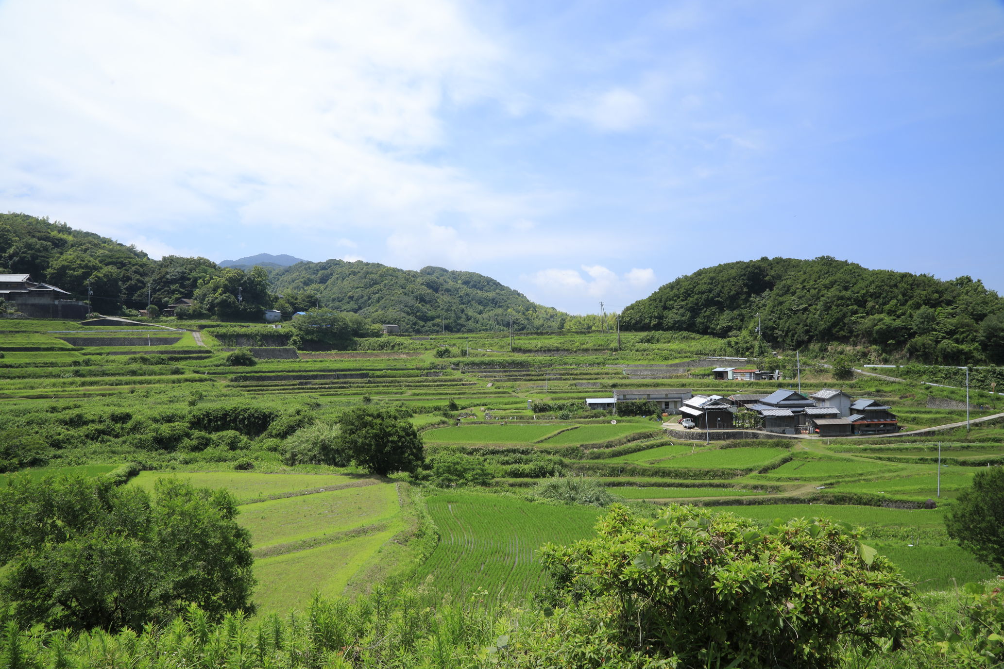 農村の原風景