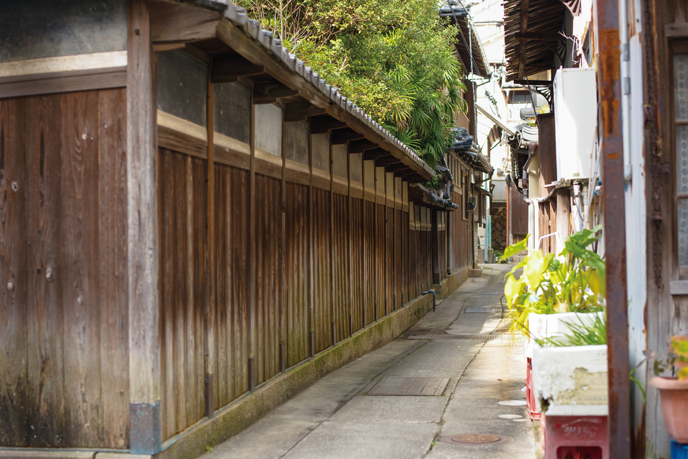 特徴的な「島」があります