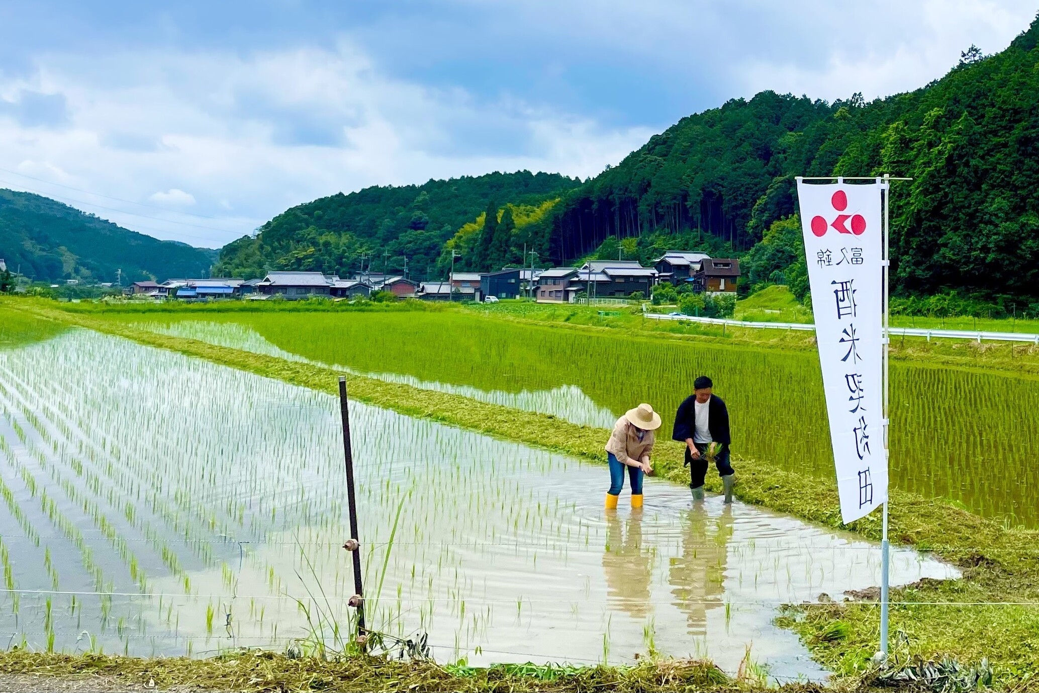 特徴ある農業