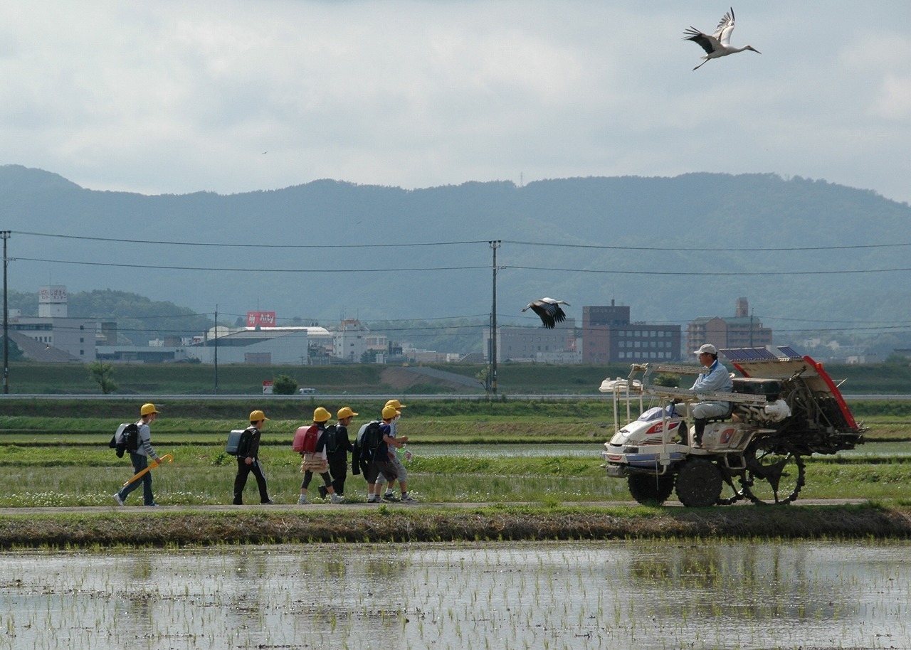 人と自然が共生する環境の再生