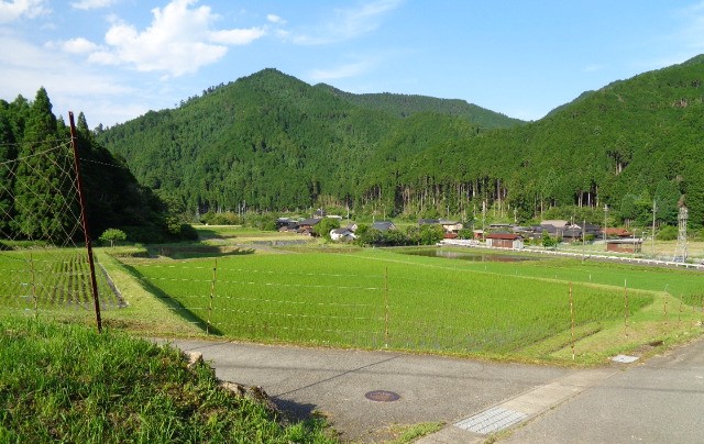 日本の原風景「里山」が広がっています