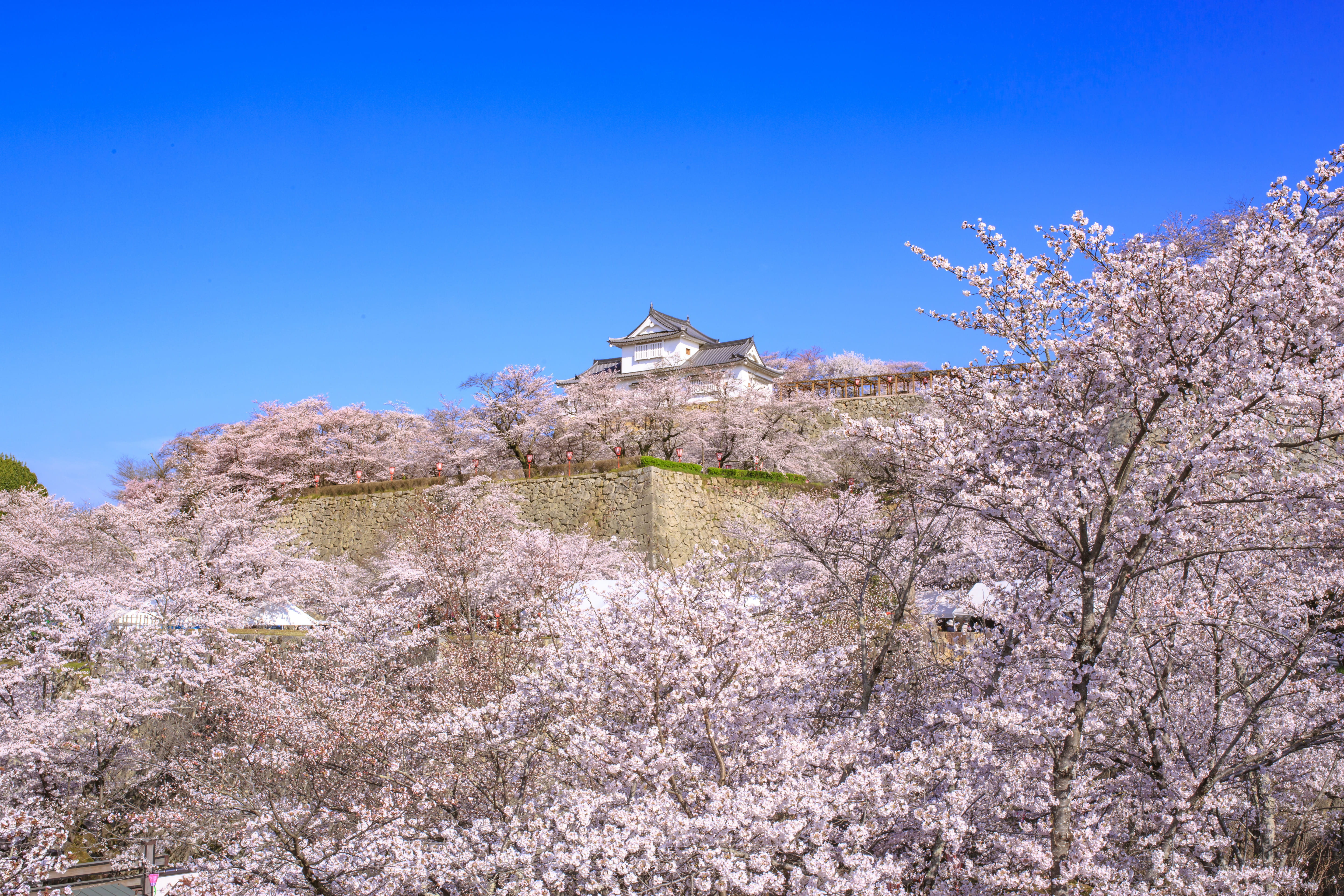 津山城（鶴山公園）《レトロな町並み散策》