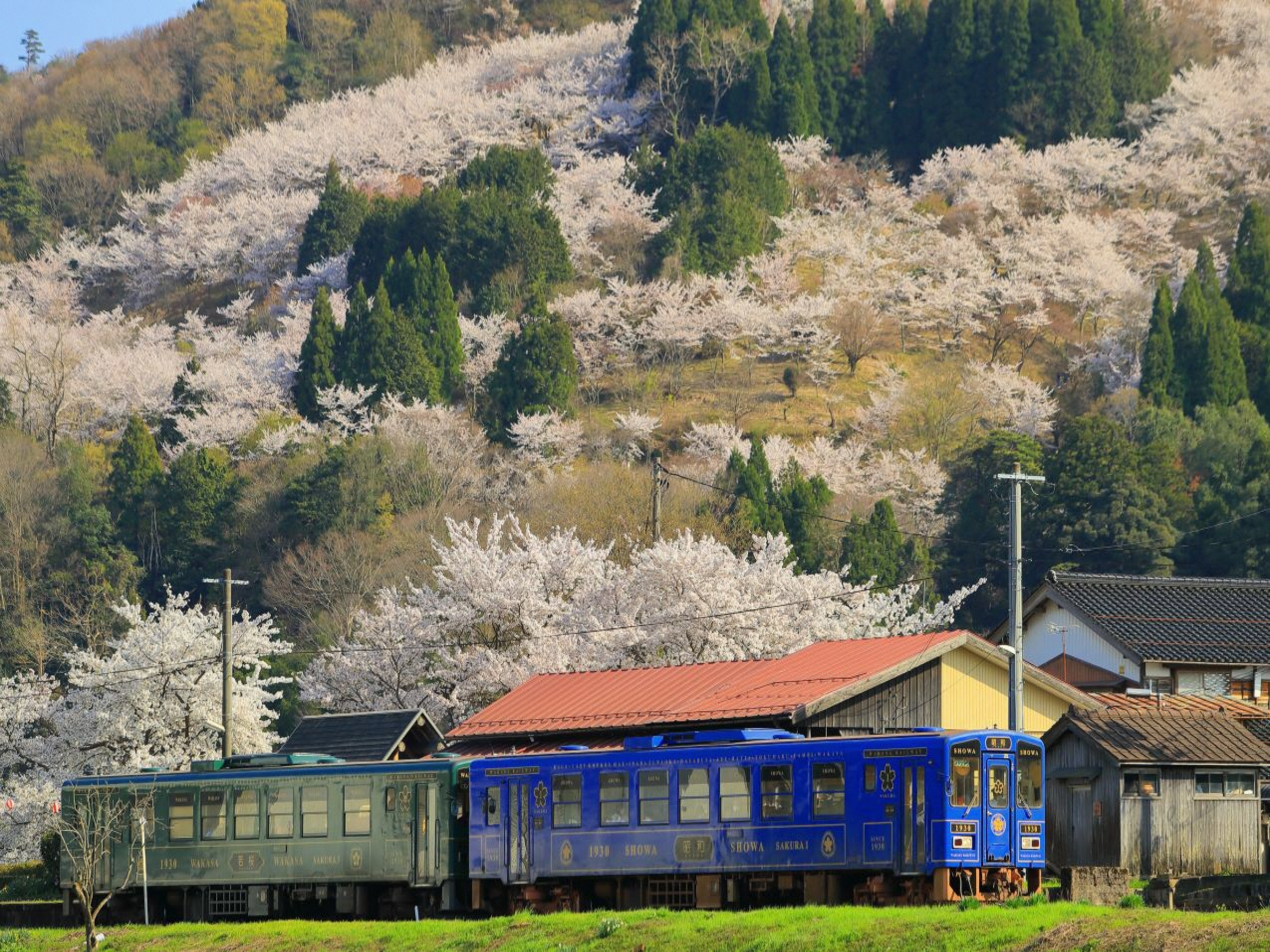 智頭急行を中心にレトロな鉄道を満喫する旅