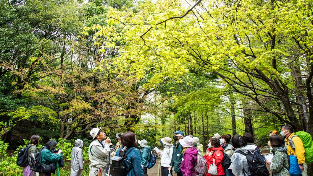 森林植物園《ガイドツアー》