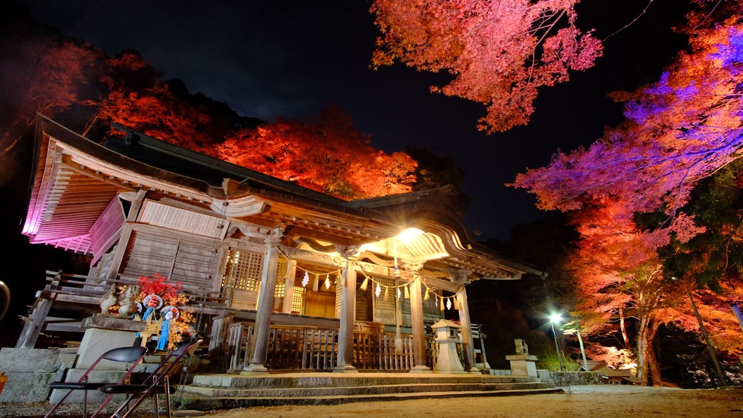 諏訪神社《参拝》