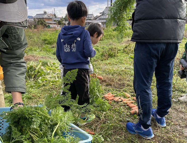 在来野菜の「たね」から「食べる」まで