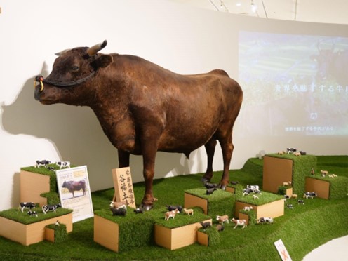 但馬牛くじ ハッピーズー 特賞 特等 但馬牛くじ