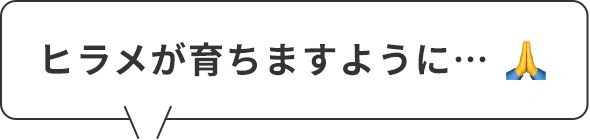 ヒラメが育ちますように...！